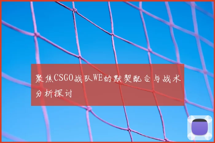 聚焦CSGO战队WE的默契配合与战术分析探讨