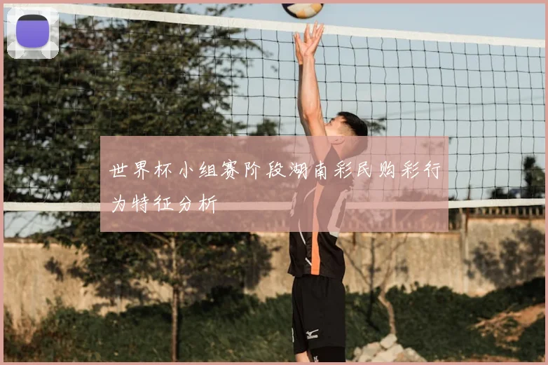 世界杯小组赛阶段湖南彩民购彩行为特征分析