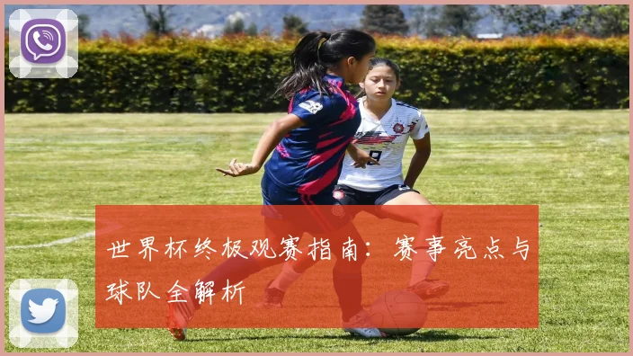 世界杯终极观赛指南:赛事亮点与球队全解析