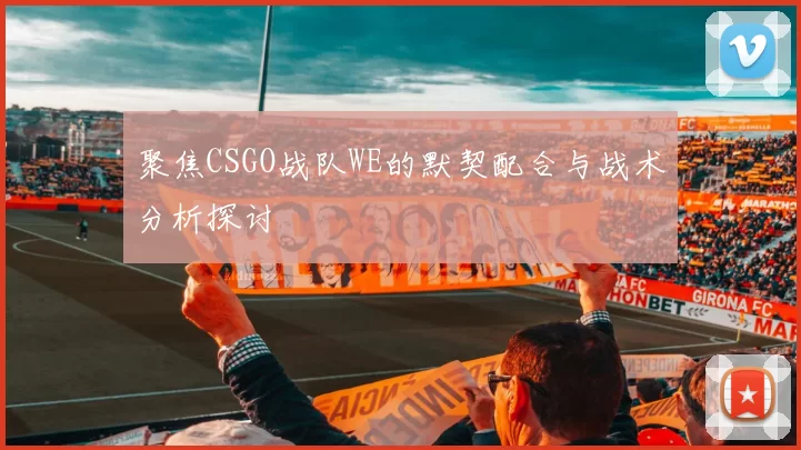 聚焦CSGO战队WE的默契配合与战术分析探讨