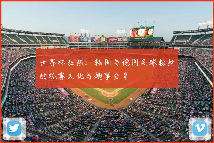 世界杯狂热：韩国与德国足球粉丝的观赛文化与趣事分享