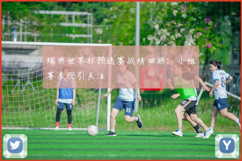 瑞典世界杯预选赛战绩回顾：小组赛表现引关注