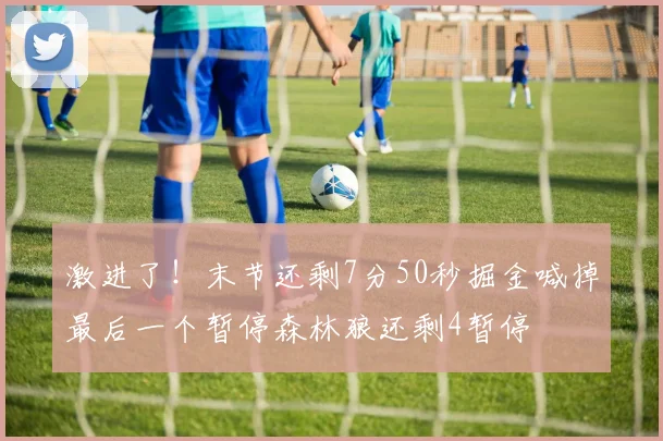 激进了!末节还剩7分50秒掘金喊掉最后一个暂停森林狼还剩4暂停