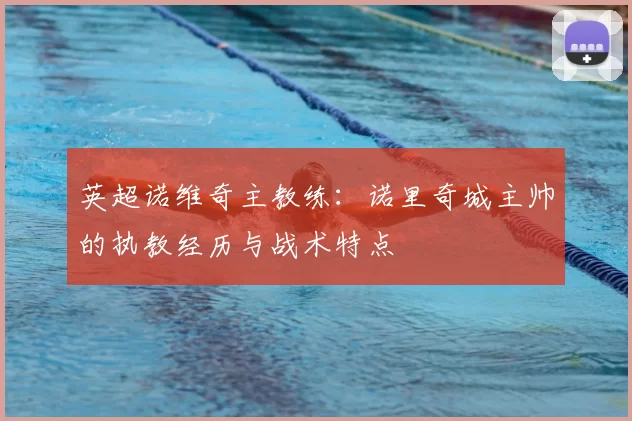 英超诺维奇主教练：诺里奇城主帅的执教经历与战术特点