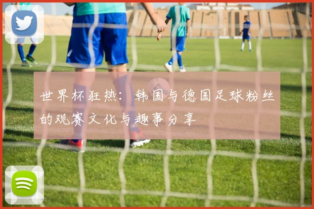 世界杯狂热：韩国与德国足球粉丝的观赛文化与趣事分享