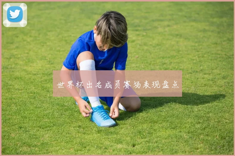 世界杯出名成员赛场表现盘点