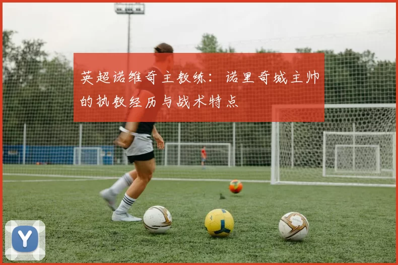 英超诺维奇主教练：诺里奇城主帅的执教经历与战术特点
