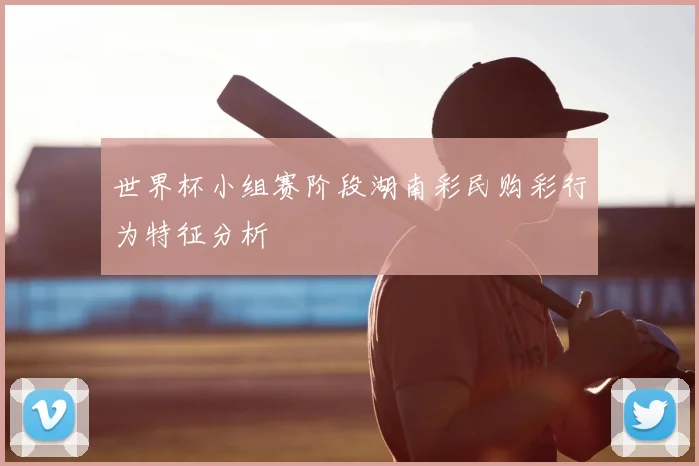 世界杯小组赛阶段湖南彩民购彩行为特征分析