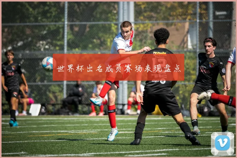 世界杯出名成员赛场表现盘点